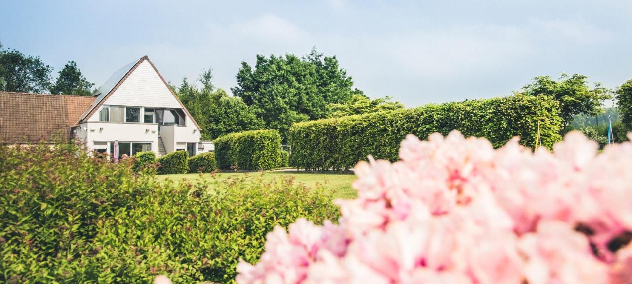 Vakantiewoning Hakuna Matata Geraardsbergen Eksteriør billede